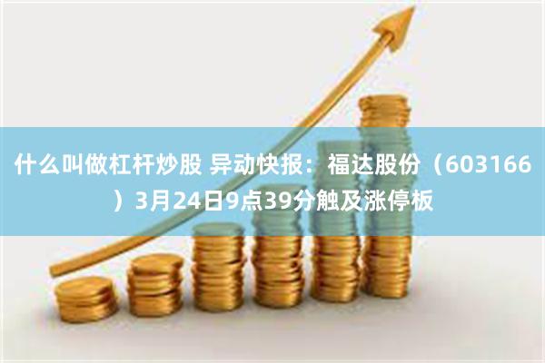 什么叫做杠杆炒股 异动快报：福达股份（603166）3月24日9点39分触及涨停板