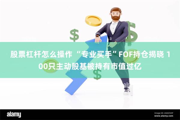 股票杠杆怎么操作 “专业买手”FOF持仓揭晓 100只主动股基被持有市值过亿